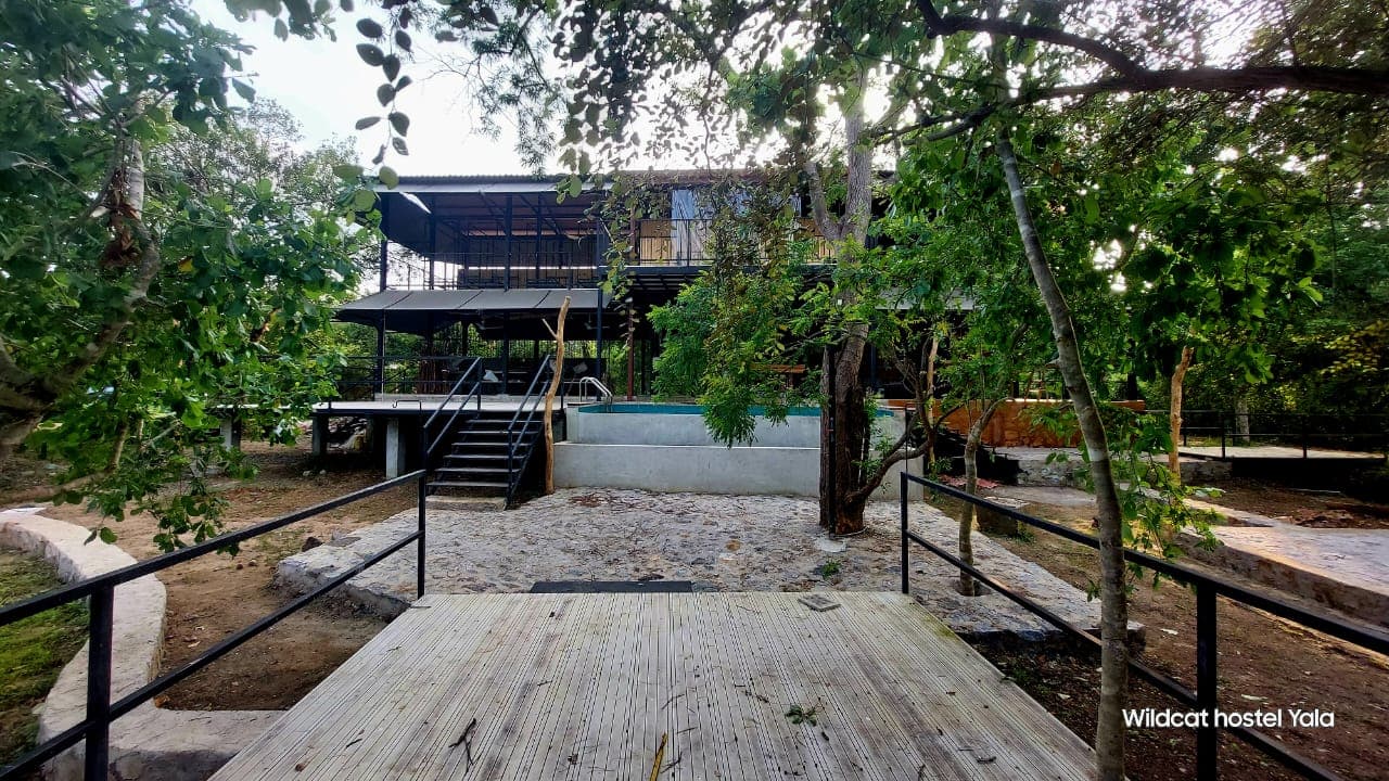 The approach to the hostel across a timber walkway, the building raised on stilts ahead