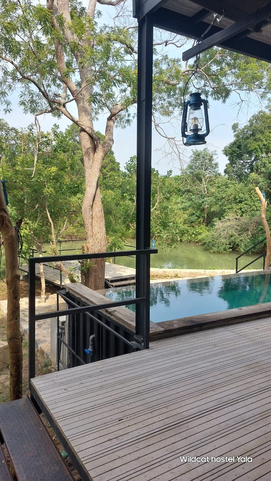 A hurricane lantern hanging over the deck, with the pool and trees beyond