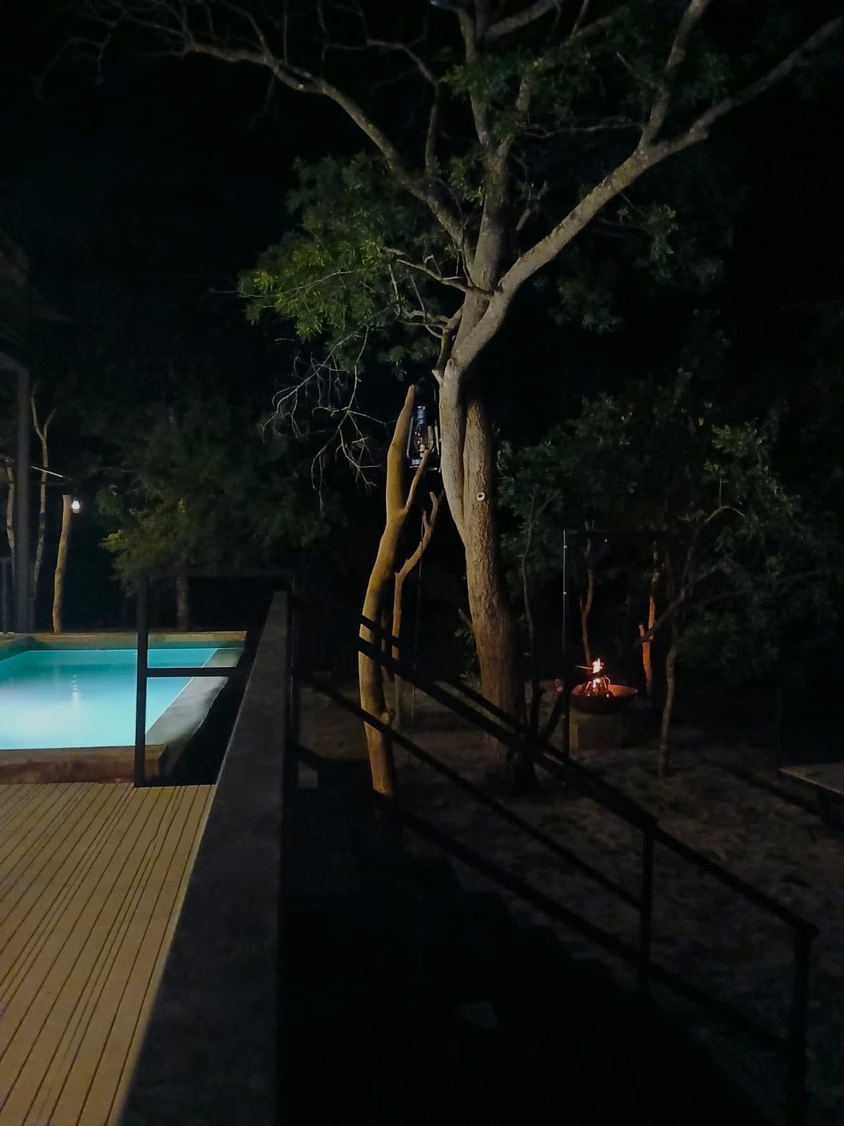 The pool lit teal at night, with the dark deck and trees around it