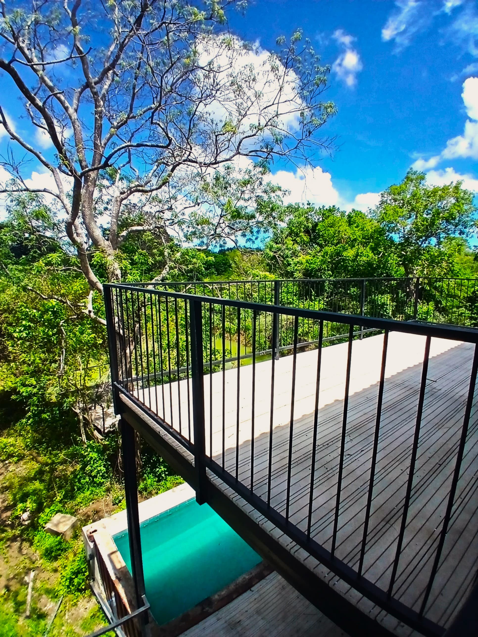 The elevated timber deck looking out over the pool below and the green waterhole beyond it, ringed by trees